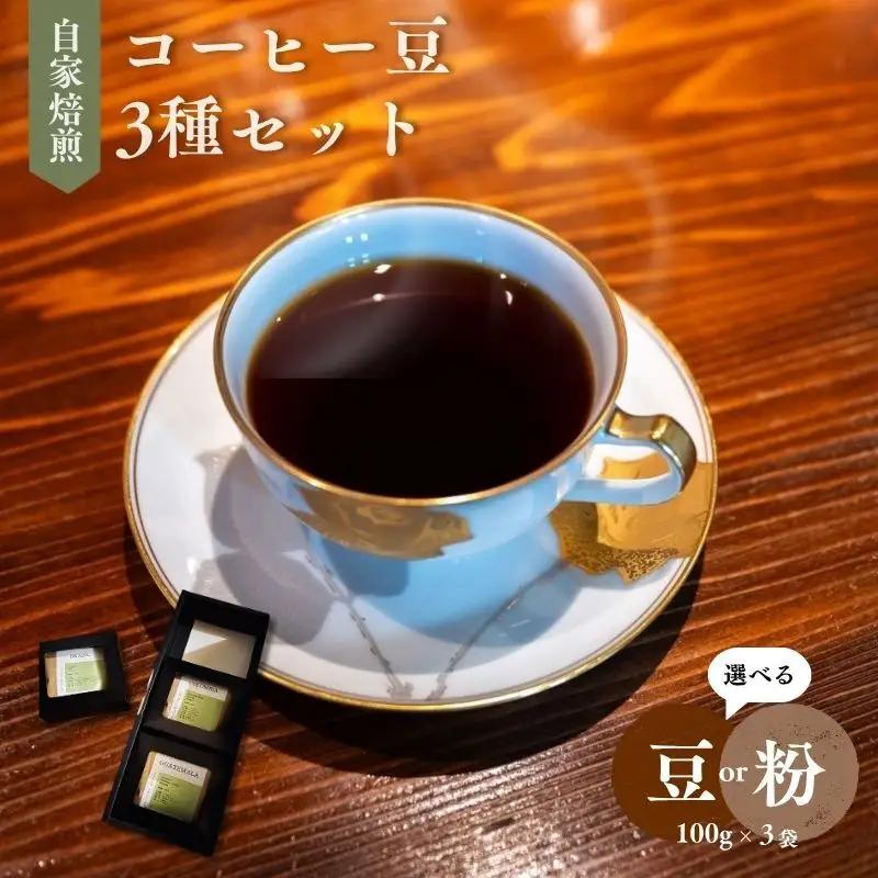 コーヒー 自家焙煎 3種セット 100g 3袋 珈琲豆 コーヒー 豆