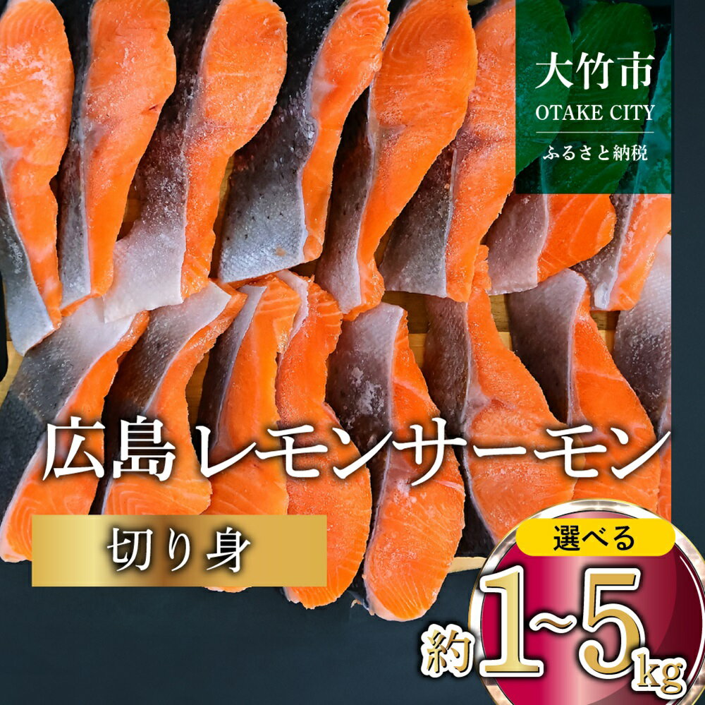 【ふるさと納税】[ふるさと納税限定] 国産 広島レモンサーモン 切身 小分け｜広島 ふるさと納税 特産品 グルメ 国産 サーモン レモンサーモン 高級 広島県産 美味しい お取り寄せ ギフト[1953-1958]