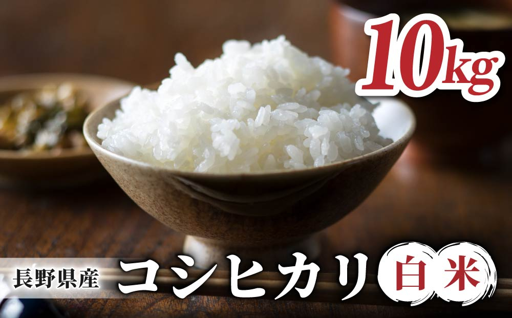 【令和8年産 新米】長野県産コシヒカリ白米 10kg |太陽と大地