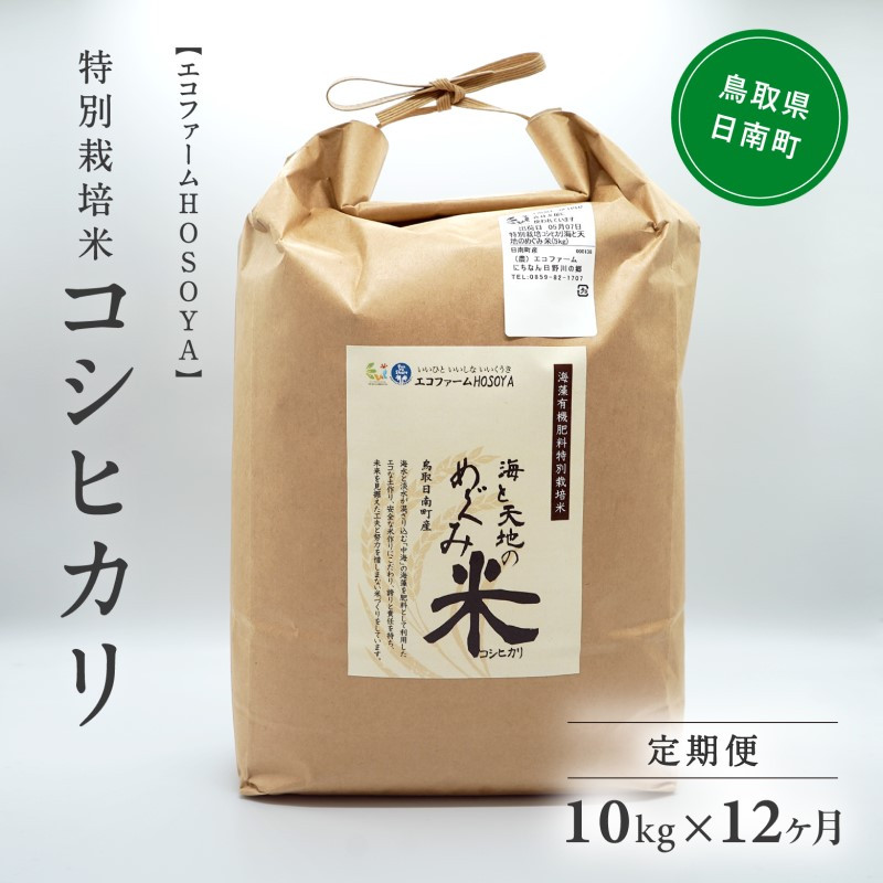 
[№5667-0286]【12カ月連続お届け】新米 令和6年産 海と天地のめぐみ米（コシヒカリ） 白米10kg
