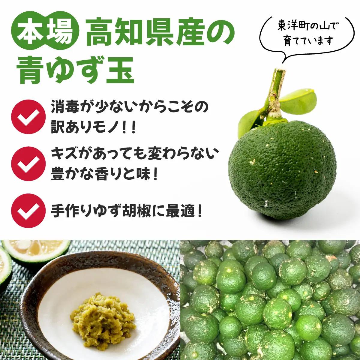 【先行予約】 青ゆず（訳アリ）青柚子 ゆず 柚子 訳あり 2.5kg（20～40玉）