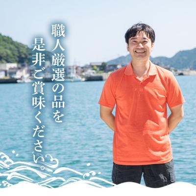 ふるさと納税 佐伯市 職人厳選干物セット (約7種) |  | 03