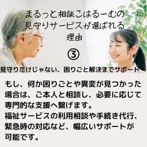 【親孝行は、ふるさと納税で】　ふるさとへ贈る安心　社会福祉士による見守り訪問サービスチケット　見守り 訪問 サービス 3か月分 月1回 報告 安心 福祉 支援 サポート 代行 親孝行　社会福祉士 00