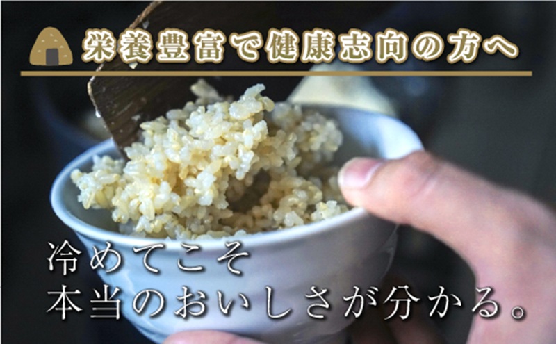 【令和8年産 先行予約】新潟県魚沼産コシヒカリ「山清水米」玄米2kg