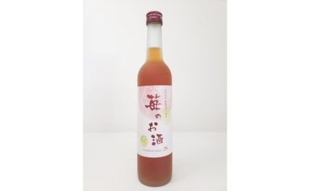 【数量限定】濃いめのお酒 飲み比べ 500ml×2本セット（苺のお酒/梅のお酒） 洋酒 リキュール 