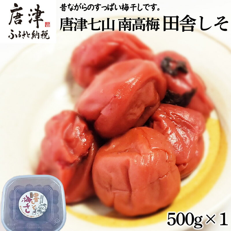【ふるさと納税】唐津市七山南高梅 田舎梅 (500g×1) 梅干し うめぼし うめ しそ ご飯のお供 ＃irodoriからつ四季の返礼品