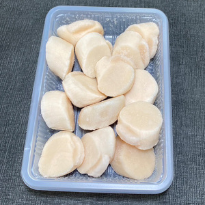 厚切り紅鮭一尾 9切れ＆ホタテ250g×4 セット 北海道 釧路 ふるさと納税 鮭 紅鮭 サケ さけ 切身 帆立 ほたて 冷凍 甘塩 魚 魚介 海鮮 海産物 F4F-4307