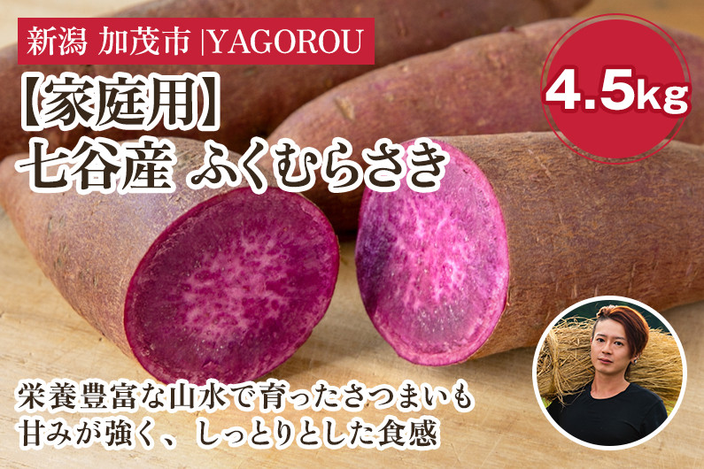 
            【家庭用】ふくむらさき 4.5kg（A品・B品混在） 新潟県加茂市七谷産 さつまいも《11月下旬〜順次発送》 サツマイモ お芋 焼き芋 スイートポテト 野菜 根菜 低温熟成 加茂市 YAGOROU ヤゴロウ
          