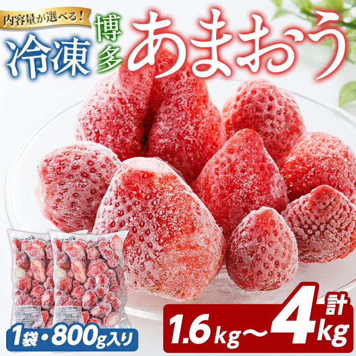 【ふるさと納税】＜内容量が選べる！＞冷凍 あまおう (計1.6kg～4kg) いちご イチゴ 苺 ストロベリー 果物 フルーツ おやつ デザート 冷凍 アマオウ 旬 小分け アイス シャーベット ジャム スムージー 冷凍フルーツ 真空パック 小分け 【農産物直売所ほたるの里】