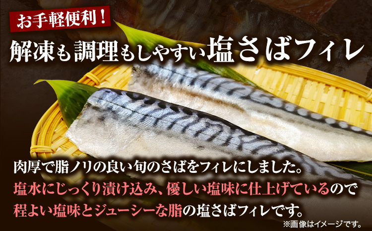 塩さば フィレ 14枚入 (真空パック入)  株式会社魚鶴《30日以内に出荷予定(土日祝除く)》 和歌山県 日高町 さば 塩サバ 鯖  ごはんのお供 おつまみ にも最適！ 