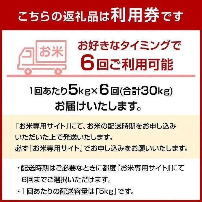 米【特A評価獲得】福岡県産 元気つくし ふるさと納税 らくらくお米便 30kg コース ｜米