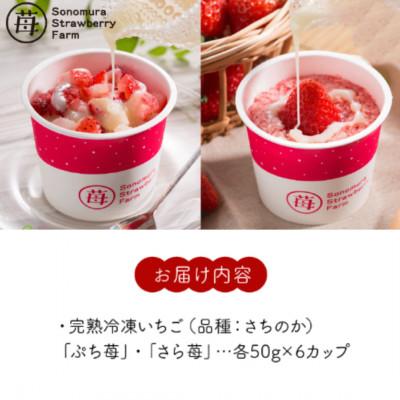 ふるさと納税 宇土市 熊本県宇土産 完熟冷凍いちご「ぷち苺・さら苺」6x6カップ 練乳付き 園村苺園 |  | 01