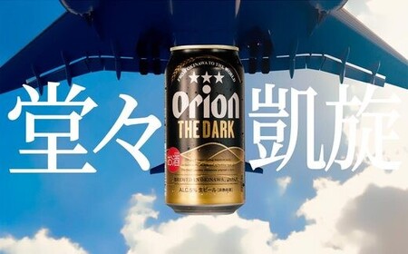 ≪ オリオンビール ザ・ダーク 350ml × 48缶 ≫ (DQ017)