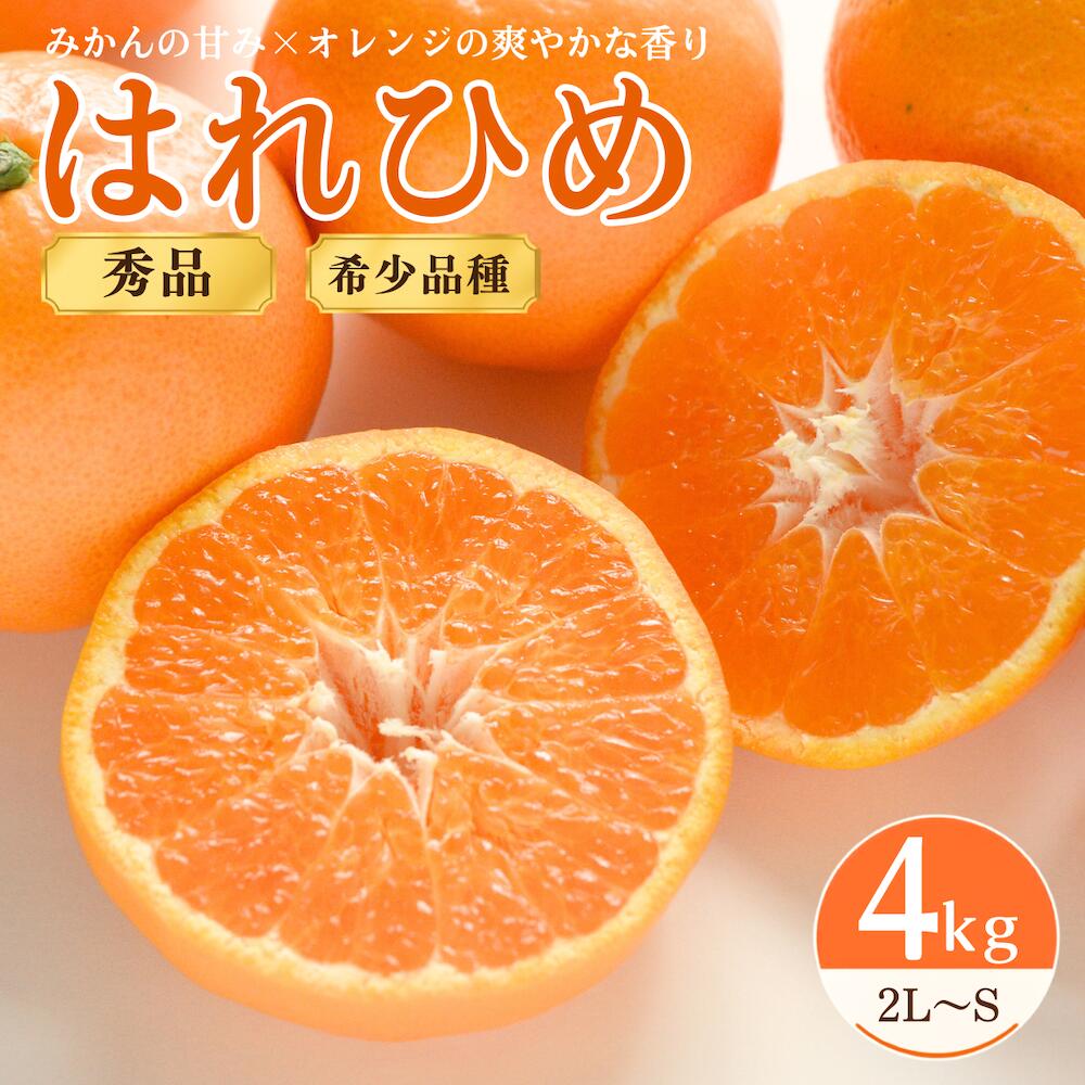 【ふるさと納税】【先行受付】はれひめ 4kg 秀品 2L～Sサイズ はれひめ 愛媛みかん 愛媛ミカン 愛媛県産 愛媛 柑橘 柑橘類 みかん ミカン 蜜柑 果物 フルーツ 国産フルーツ 国産果物 旬の果物 産地直送 お取り寄せ 愛媛県 上島町
