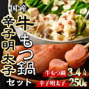 【ふるさと納税】国産牛もつ鍋(3〜4人前)・辛子明太子(250g)セット モツ鍋 もつ鍋セット 牛モツ 牛肉 ホルモン 明太子 めんたいこ ちゃんぽん チャンポン お取り寄せ ＜離島配送不可＞【ksg0022】【樽味屋】