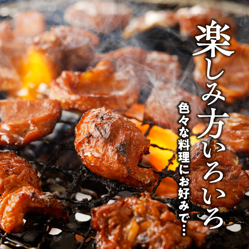 福岡県産　国産馬ホルモン【旨辛味】　【200g×5パック】