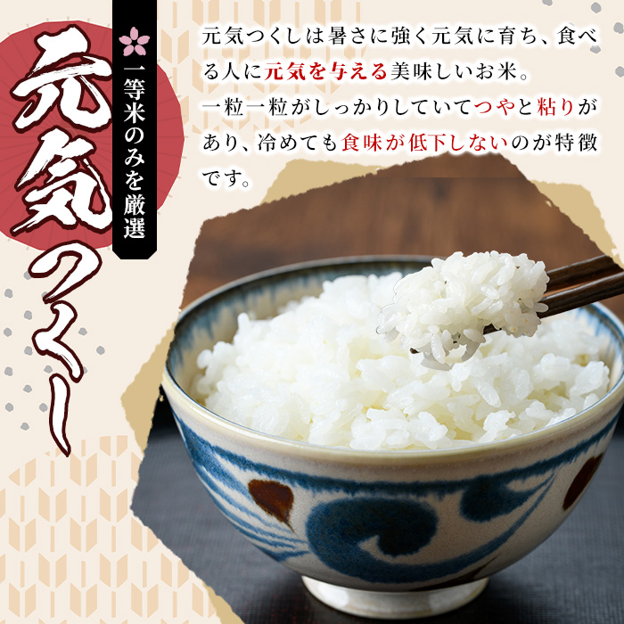 《無洗米》福岡県産ブランド米「元気つくし」(計10kg・5kg×2袋) 無洗米 米 お米 おこめ ごはん げんきつくし ご飯 常温 福岡県産 ブランド米 常温 常温保存 おにぎり おむすび お弁当 ラ