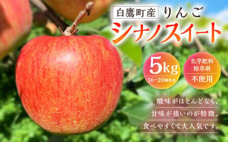 白鷹町産りんご （シナノスイート） 5kg りんご 林檎 果物 くだもの フルーツ 旬 シナノスイート 国産 山形県 白鷹町 【2026年9月下旬～10月上旬発送予定】