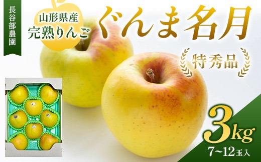 
                  長谷部農園 完熟りんご『ぐんま名月』 特秀品 3kg 化粧箱 7～12玉入 山形県産 《2026年11月発送開始》 FSY-2785
                