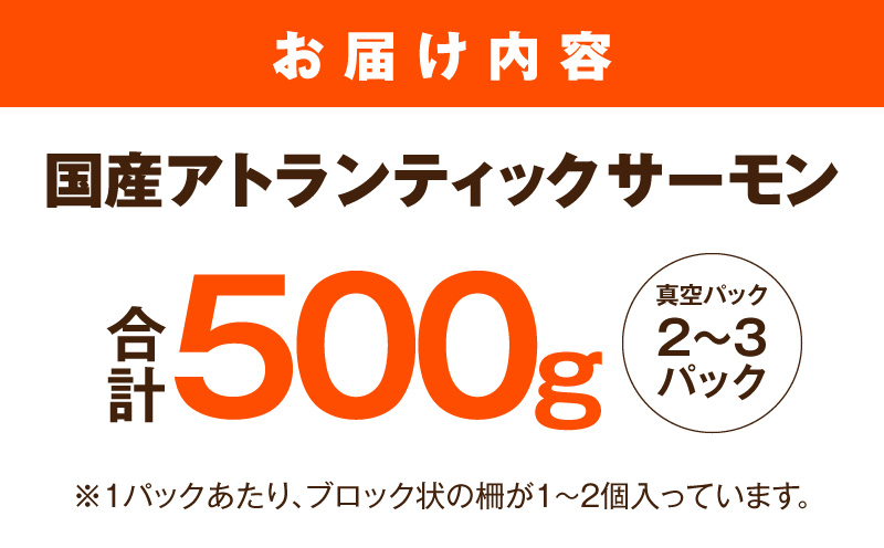 国産アトランティックサーモン 500g ポーション【小分け 真空パック 訳あり サイズ不揃い 刺身 海鮮丼 さーもん 鮭 さけ シャケ しゃけ 冷凍】 nbj0010