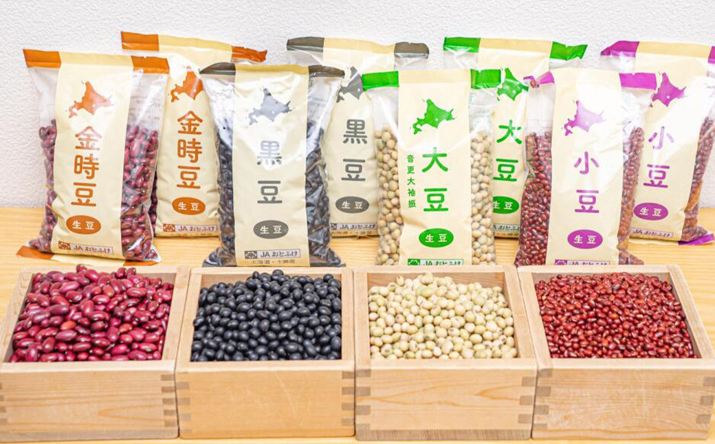令和6年産 おとふけ生豆セット「JAおとふけ」【A17】
