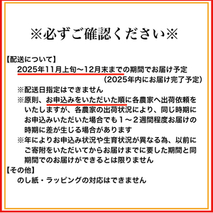 【大粒･2L】有田みかん「未来への虹」（約9kg）(B240-2)