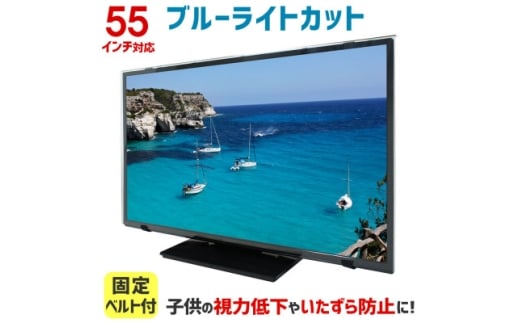 55MBL5　55インチ用　テレビ画面保護パネル　ブルーライトカットタイプ　位置調整用スペーサー付【1669384】