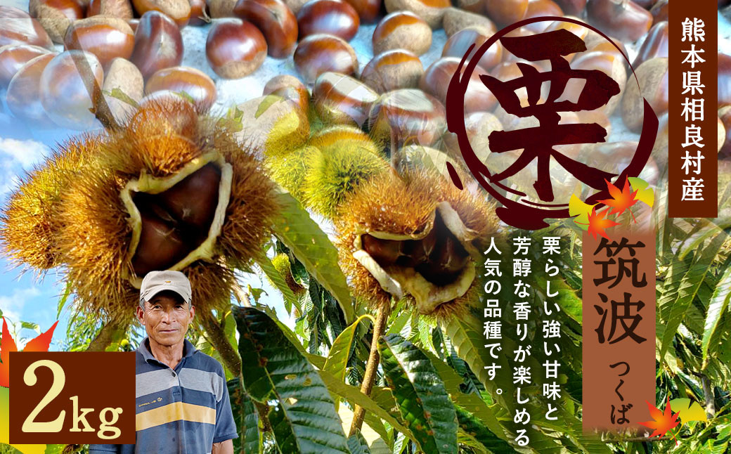 
            相良村産 栗 筑波 2kg 熊本県産 くり クリ 【2025年9月下旬発送予定】
          