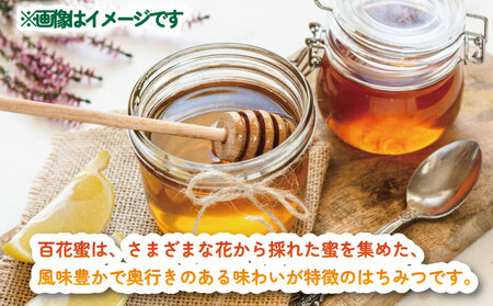 ＼10営業日以内発送／  国産はちみつ 百花蜜 160g × 3本 セット 宇和島農産 純国産はちみつ 瓶 蜜 人気ハチミツ 国産純粋はちみつ 非加熱 はちみつ 蜂蜜 ハニー 百花蜂蜜 百花はちみつ 