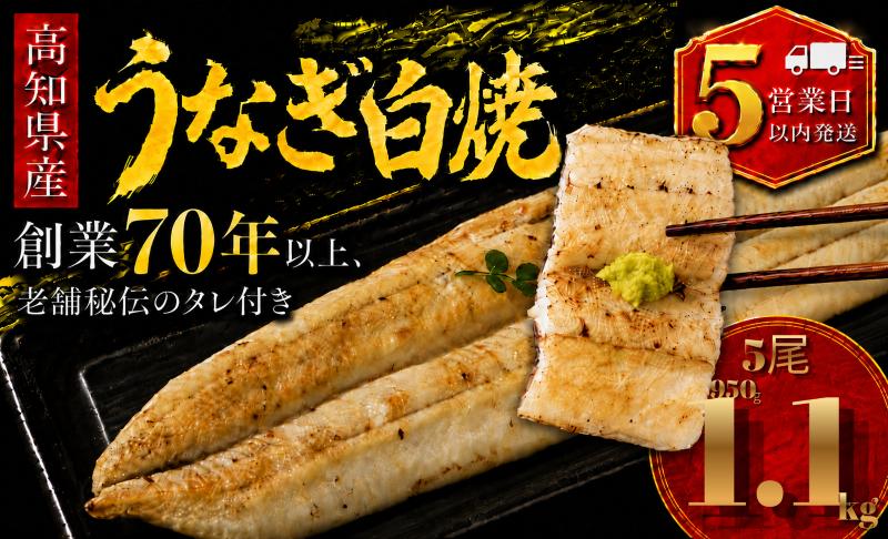  【スピード発送】 高知県産 うなぎ 白焼 5尾 | 国産 日本産 うな重 鰻 ウナギ 有頭 白焼き しらやき 土用丑の日 土用の丑の日 丑の日 魚 高級 贅沢 特別 老舗 初音 釜めし初音 鰻蒲焼 