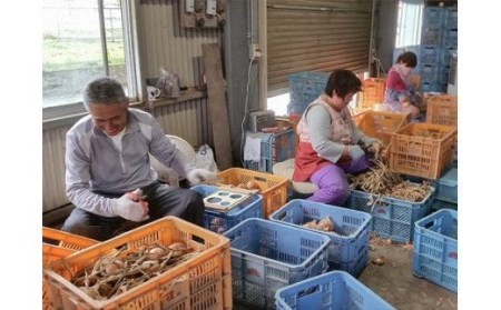 【あさひサンファーム】【大玉 5㎏】ひょうご安心ブランド★特別栽培★淡路島たまねぎ