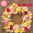 【ふるさと納税】 【ドライフラワー】 春のフラワーリース 約22～25cm ドライフラワー プリザーブドフワラー リース 花 インテリア プレゼント ギフト 手作り ハンドメイド 贈り物 お祝い 内祝い 送料無料