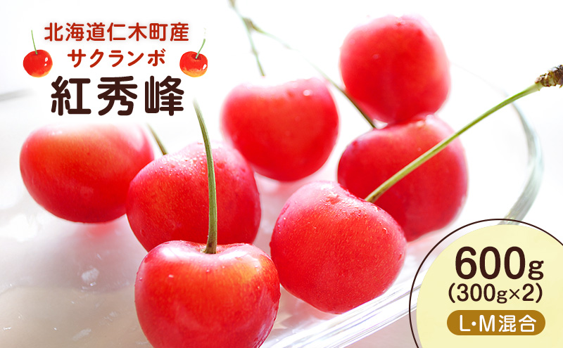 [先行受付] 北海道 仁木町産 サクランボ 紅秀峰 600g （300g×2） L・M混合 果物類 果物 くだもの フルーツ さくらんぼ チェリー 旬の果物 [UMIX FARM]