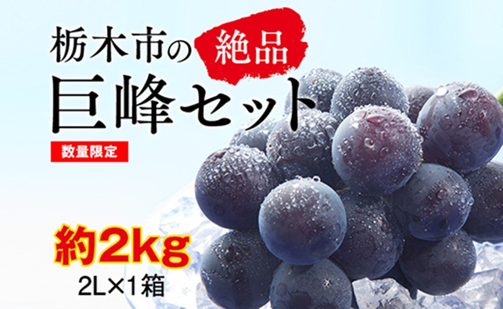 
            【2026年夏発送分先行受付 / 数量限定】栃木市の絶品「巨峰」セット　2L（約2kg）×1箱（2026年8月下旬～9月上旬発送予定）【フルーツ 果物 くだもの 食品 人気 おすすめ 】
          