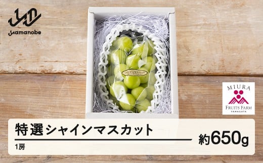 
            《先行予約》 2025年 山形県山辺町産 特選シャインマスカット 1房（約650g）2025年9月上旬から順次発送 F21A-237
          