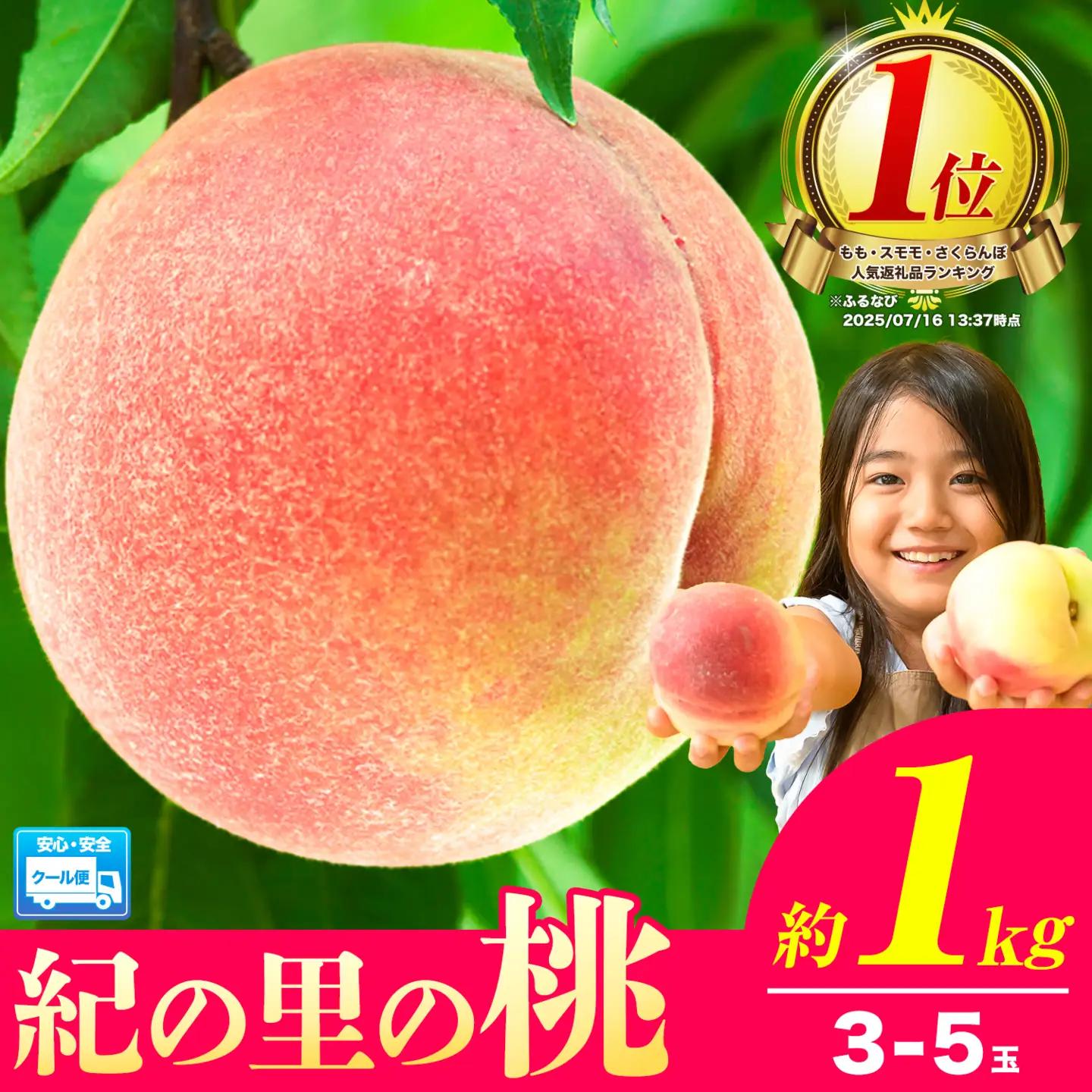 桃 紀の里の桃 約1kg 白鳳
