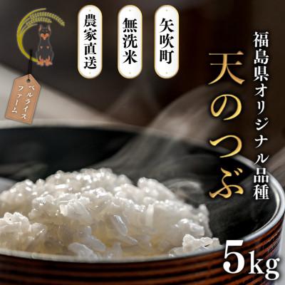 ふるさと納税 矢吹町 【令和8年産米先行受付】無洗米 農家直送 ベルライスファームの天のつぶ 5kg