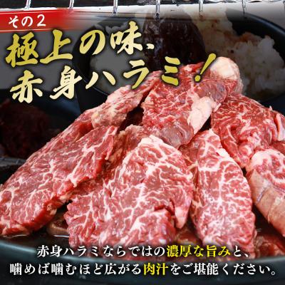 ふるさと納税 西予市 【定期便6ヶ月】<やわらか 味付き 牛ハラミ 約1kg 特性タレ漬け>肉 おいしい 愛媛 |  | 03