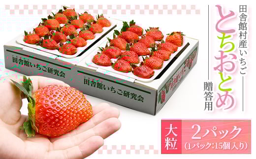 田舎館村産いちご とちおとめ＜大粒＞ 贈答用【1637919】