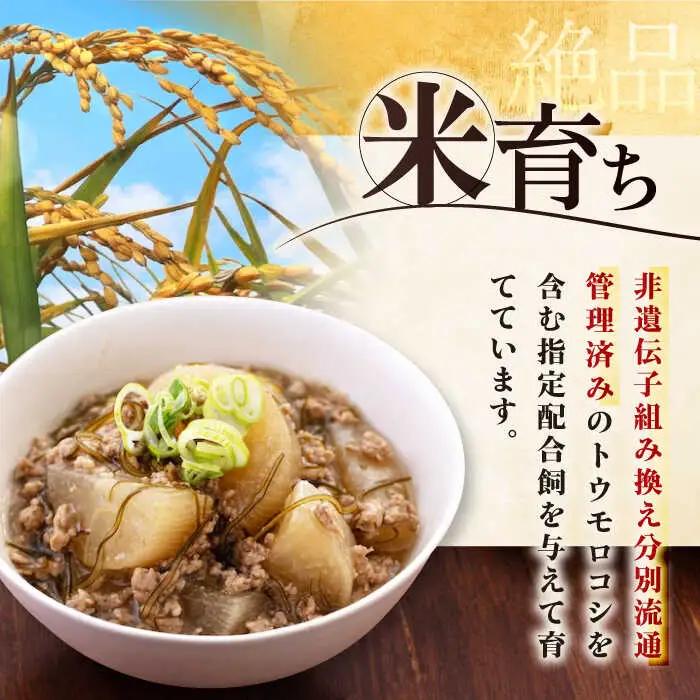 【全6回定期便】平田牧場 ひき肉 600g 豚肉 餃子 つくね [AJAP120]