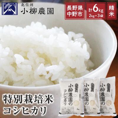 ふるさと納税 中野市 小柳農園の特別栽培米コシヒカリ6kg(2kg×3)