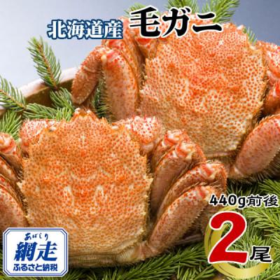 ふるさと納税 網走市 北海道網走産　冷凍 ボイル毛ガニ　440g前後×2尾