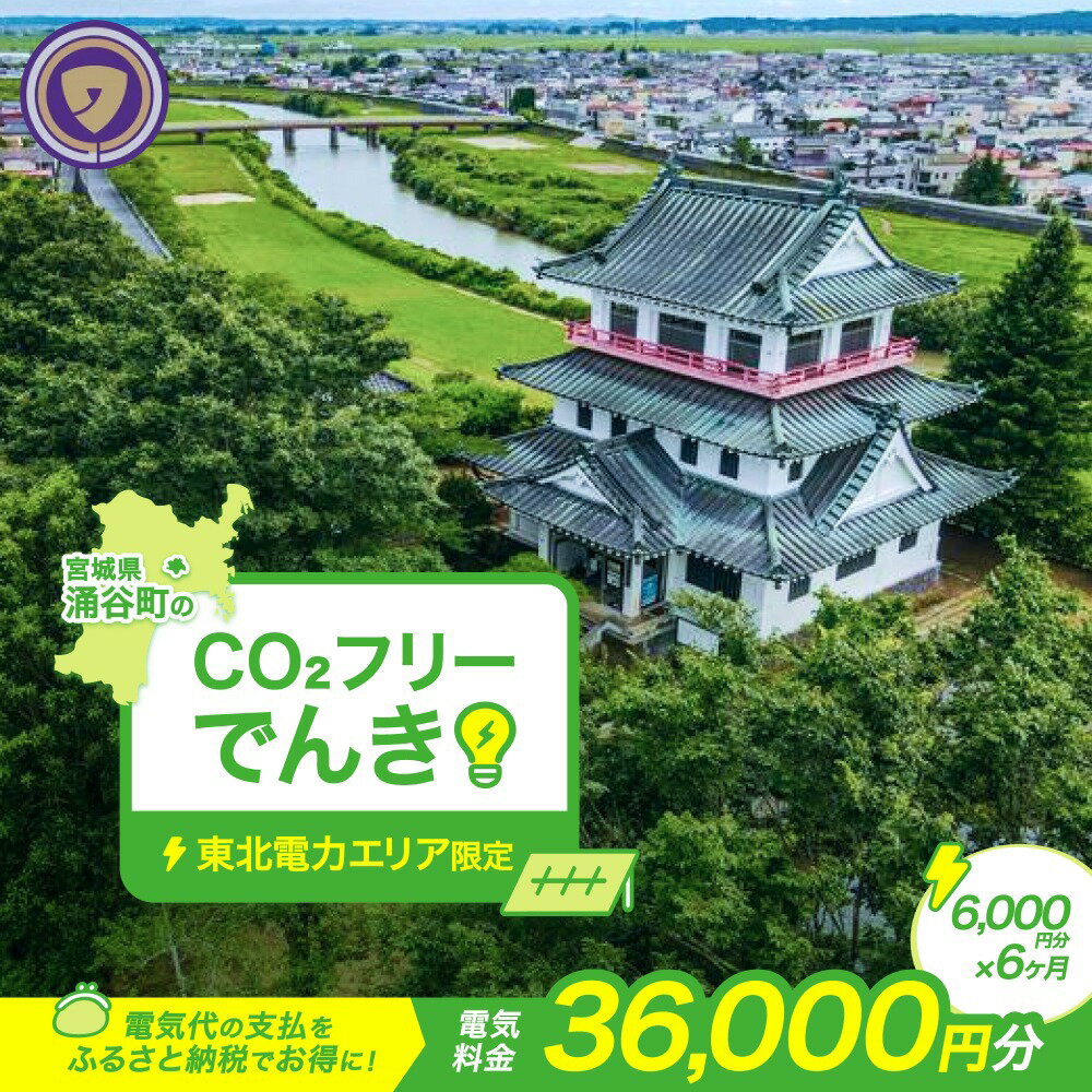 【ふるさと納税】 涌谷町CO2フリーでんき 6,000円×6ヶ月コース【※※お申込み前に申込条件を必ずご確認ください】 東北電力 電気 電力 東北 電気代 電気料金 青森県 岩手県 宮城県 秋田県 山形県 福島県 新潟県 でんき