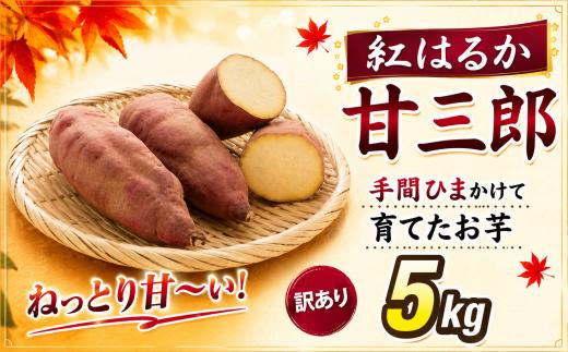 訳あり 紅はるか 5kg  甘三郎 ぽくぽく農園 さつまいも サツマイモ 熟成 生芋 さつま芋 やきいも 芋 イモ 野菜 長期熟成 デザート 旬 農家直送  徳島県