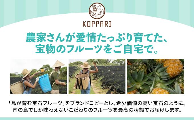 【2026年5月から発送 2回定期便】石垣島産パイナップル約2kg・マンゴー約1kgセット KP-19 パイナップル2kg・マンゴー1kg