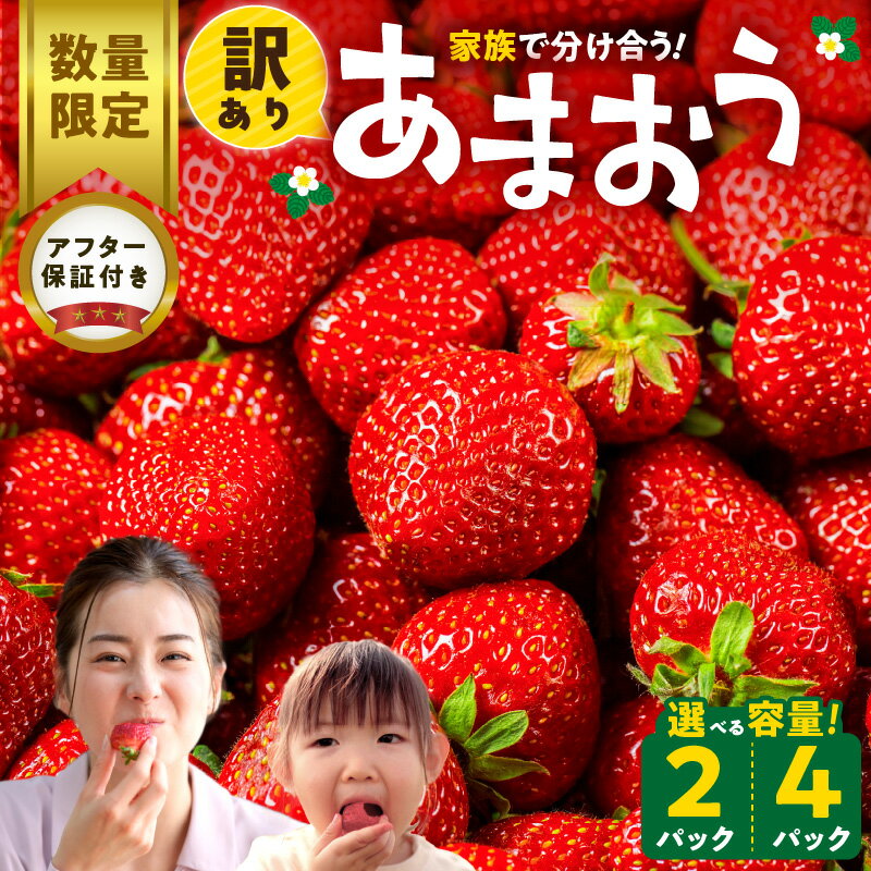 【ふるさと納税】【訳あり 数量限定】 あまおう 270g 選べる 2パック 4パック 国産 福岡県産 ブランドいちご アフター保証 食べ方いろいろ 甘い 果物 フルーツ ストロベリー 苺 エコファーマー認定農家 お取り寄せ スイーツ デザート 家庭用 福岡県 久留米市 送料無料