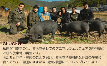 ＜奥地ほうぼく豚を使ったおつまみ3種セット＞豚肉 ぶた お肉 加工品 おつまみ おかず ペッパーウインナー ベーコン ブロック パストラミスライス ロース肉 詰合せ BBQ アウトドア キャンプ サラ