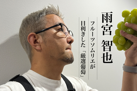 【2026年発送★先行予約】【全房糖度18度保証付】シャインマスカット 約2.1kg 2～5房/日テレ「ZIP!」TBS「ひるおび」にて紹介！美味しいフルーツだけをお届け【ルッチ Rucci】産地直送