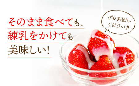 【全4回定期便】さがほのか 220g×2パック×4回 / 佐賀県 / 鐘ヶ江農園 [41ASBK004]