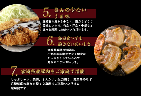 《期間・数量限定》厳選!宮崎県産豚 定期便 Aコース 《2024年3月から毎月お届け!》 全12回 |豚肉 豚 ぶた 肉 国産 バラブロック ロースしゃぶしゃぶ バラ焼肉 ロースカツ 切り落とし バラ